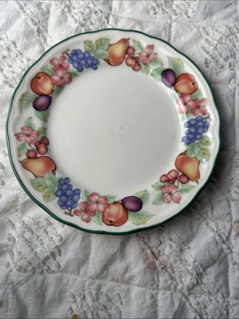 Decorative Fruit-Pattern Ceramic Dinner Plate in White with Multicolor Rim